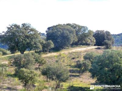 Cárcavas del Río Perales - Sierra Oeste de Madrid; excursiones y senderismo madrid; excursiones